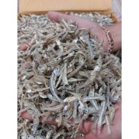 ราคา ปลากระตักหรือปลาจิ้งจั้งแห้ง ติดหัว เค็มน้อย ไม่ใส่สารกันบูด สดใหม่ทุกวัน เสริมสร้างแคลเซียม 1000 กรัม ราคา 180 บาท (16521300360)