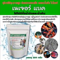 ราคา จุลินทรีย์บำบัดน้ำ ย่อยสลายของเสีย ลดแอมโมเนีย ไนไตรท์ ใช้ได้ดีทั้งน้ำจืดและน้ำเค็ม ใช้ได้ทั้งบ่อปลาตู้ปลา บ่อกุ้ง (10461564894)