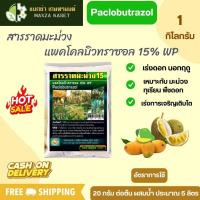 ราคา สารราดมะม่วง แพคโคลบิวทราซอล 15 WP Paclobutrazol เร่งการออกดอก นอกฤดู 1 กก (21887185978)