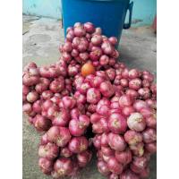 ราคา สด ใหม่ หอมแดงศรีสะเกษ มัดจุก 1 กิโล (24268608261)