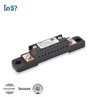 ราคา CG FL 2C Shunt 10A 20A 30A 50A 100A 150A 200A 300A 400A 500A 600A 75mV DC ความแม่นยําสูงพร้อมฐานแอมป์มิเตอร์ Current Shunt Resistor (24385629360)