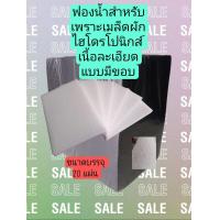 ราคา ฟองน้ำเพราะเมล็ดผักไฮโดรโปนิกส์เนื้อละเอียดขนาด 1 นิ้ว 1 นิ้ว มาตรฐาน 1 แผ่น 96 ช่องปลูก ชุด 20 แผ่น แบบมีขอบ (19489290758)