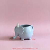 ราคา แก้ว แก้วเซรามิค แก้วเซรามิครูปช้าง สินค้าผลิตในไทย สินค้าพร้อมส่ง AT1CERAMIC (24291416943)