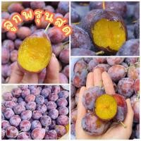 ราคา พร้อมส่ง 500g ลูกพรุนหวาน สด ราชาแห่งไฟเบอร์ สรรพคุณดีเยี่ยม (20398067636)