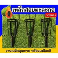 ราคา เหล็กสอยมะละกอ ตะกร้อสอยมะละกอ งานเหล็กอย่างดี พร้อมเคลือบสี (21732215219)