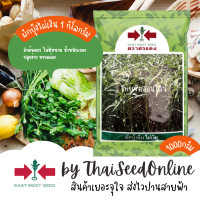 ราคา EWCOM Exp 9 69 เมล็ดพันธุ์ ผักบุ้งจีนใบไผ่ ไผ่เงิน 1 กิโลกรัม ตราศรแดง Chinese Convolvulus (1409532182)