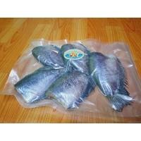 ราคา ปลาสลิดบางบ่อ ปลาสลิดแดดเดียว ขนาด500กรัม จำนวน 5ตัว (20316500820)