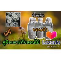 ราคา เชื้อเห็ดขอนขาว ขอนดำ ชุด 5 ขวด พร้อมคู่มือเพาะเห็ดกับขอนไม้ (17444878712)