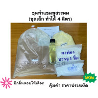 ราคา ชุดทำ แชมพูสระผม น้ำยาสระผม ชุดเล็ก ทำได้ 4 ลิตร (20854892966)