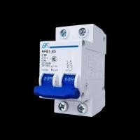 ราคา AC Circuit Breaker เซอร์กิต เบรกเกอร์ RFB1 63 1P 2P (20590275612)