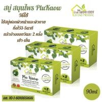 ราคา สบู่ สบู่แก้คัน บ้านหมอละออง สมุนไพรพลูคาว 90กรัม (22564830466)