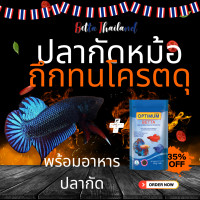 ราคา ปลากัดหม้อไทย Betta สวย ดุ แพ็คดี ส่งไว พร้อมอาหารปลากัด 20 กรัม ซื้อปลากัหม้อ อาหารปลากัดสูตรปลากัด (24751412381)