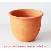 ราคา กระถางดินเผา 8 นิ้ว ทรงกระดิ่ง พร้อมจานรอง กระถางดินเผาแปดนิ้ว ดินเผา กระถางต้นไม้ กระถางดินเผา8นิ้ว (18837389306)