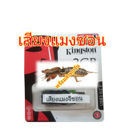 ราคา เสียงแมงจิซอน บันทึกยูเอสบีแฟลชไดรฟ์15ชั่วโมง (24005270260)