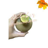 ราคา B01 กลิ่นนมเนยครีม ครีมนมเนยทำขนม 454 ml กลิ่นผสมอาหาร สีผสมอาหาร สีคาราเมล กลิ่นวานิลลาบัตเตอร์ กลิ่นใบเตย กลิ่นมะพร้าวน้ำหอม (12842850127)