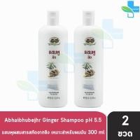 ราคา อภัยภูเบศร แชมพูขิง 300 มล 2 ขวด แชมพู ขิง Abhaibhubejhr 901 (1346470734)