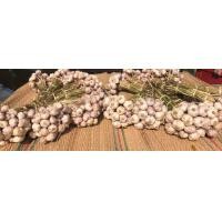 ราคา กระเทียมไทย 1กิโล (25011856589)