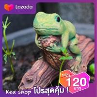 ราคา รูปปั้น ปูนปั้น ตุ๊กตาปูนปั้นรูปกบ กบแต่งสวน แต่งสวน กบขอนไม้ ประดับตกแต่งสวนสวยงาม ขนาดพอเหมาะ กบเสมือนจริง กบเขียว (8448808292)