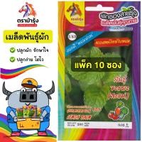 ราคา RAINBOWHORSE สาระแหน่ Z1 43 ไทยโบราณ เมล็ดพันธุ์ สาระแหน่ แพ็ค 10 ซอง เมล็ดพันธุ์ เมล็ดพันธุ์ผัก เมล็ดพันธุ์ ผักสวนครัว (10149472538)