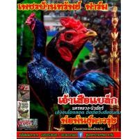 ราคา VIP ไข่ไก่ชนพม่าสายเลือดเงินล้านนำเข้าผสมกับชุดแม่ไก่ VIP ที่จ่ายลูกมีผลงานแล้ว พิเศษฟองละ 150 บาท ซื้อ 3 ฟองแถม 1 ฟอง ซื้อ 5 แถม 2 (23828655088)