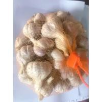 ราคา กระเทียมแห้ง กระเทียมเชียงใหม่ ตัดจุก 1 กิโลกรัม (2228638799)