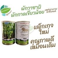 ราคา เมล็ด ผักกาดเขียวน้อย ผักวาซาบิ 80000 เมล็ด นำเข้าจากนิวซีแลนด์ ผักกาดหิ่น ผักใบสร้อย เขียวน้อย (15156366052)
