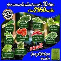 ราคา แถมปุ๋ย ชุดเมล็ดผักสวนครัว 10ชนิด รวม 2850เมล็ด หอมเเบ่ง มะเขือเทศ ผักชีลาว ผักชีฝรั่ง พริก กะเพรา ผักชี ผักบุ้ง ผักกวางตุ้ง สลัด เมล็ดพันธุ์พืช ผักสวนครัว เมล็ดพันธุ์ เมล็ดพันธุ์ผัก เมล็ดผักสวนครัว (