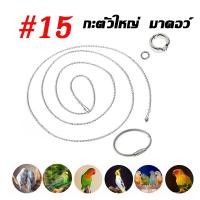 ราคา โซ่คล้องห่วงขานกแก้ว 100cm โซ่ขานกสแตนเลส ห่วงเปิดนก พร้อมห่วงล็อค สายเกาะคอนนกแก้ว ฟอพัส เลิฟเบิร์ด ซันคอนัวร์ (23226448747)