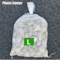 ราคา Plants Center หินธรรมชาติ ยกกระสอบ 1kg 6 7kg หินแม่น้ำ หินขาว หินกรวด สำหรับตกแต่งสวนและตู้ปลา (24588798518)