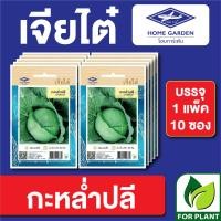 ราคา เมล็ดพันธุ์ ผักซอง กะหล่ำปลี ตราเจียไต๋ บรรจุแพ็คล่ะ 10 ซอง ราคา 80 บาท (16995606232)