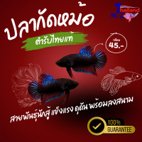 ราคา ปลากัดหม้อ (24699129313)