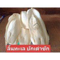 ราคา ลิ้นทะเล กระดองปลาหมึก คละไซส์ชิ้นใหญ่ (23097001625)
