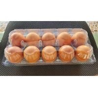 ราคา ถาดไข่ แผงไข่ สำหรับใส่ไข่ 10ฟอง 50ใบ แพ็ค มีปุ่มล็อกในตัว ถาดพลาสติกใส่ไข่ แผงใส่ไข่ (12787661687)