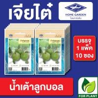 ราคา เมล็ดพันธุ์ ผักซอง น้ำเต้าลูกบอล ตราเจียไต๋ CT15 บรรจุแพ็คล่ะ 10 ซอง ราคา 80 บาท (21479549251)