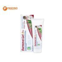 ราคา BURNOVA Gel Plus Dragons Blood เจลลดเลือนแผลเป็น รอยด่างดำ 20g (22973149116)