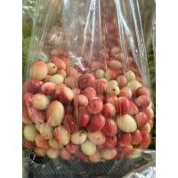 ราคา มะม่วงหาวมะนาวโห่ 1 กิโลกรัม มะม่วงหาว มะนาวโห่ (19563876500)