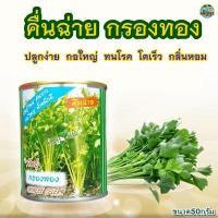 ราคา เมล็ดคื่นฉ่าย กรองทอง ตราปลาทอง ขนาด50กรัม เมล็ดพันธุ์คื่นฉ่าย เมล็ดพันธุ์ผัก เมล็ดผักสวนครัว (21557316564)