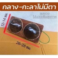 ราคา กะลานวดฝ่าเท้า กะลามะพร้าว กะลาเหยียบนวดเท้า รองช้ำส้นเท้า รองช้ำฝ่าเท้า กะลานวดหลัง ไม้นวดเท้า ไม้นวดหลัง ไม้นวดกดจุด (16980504271)