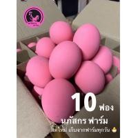 ราคา ไข่เยี่ยวม้าลด20 10ฟอง เนื้อเป็นวุ้น ปลอดสารพิษ สดใหม่ อร่อย (22648791146)
