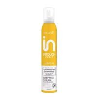 ราคา DCASH INTOUCH WHIPPED CREAM LEAVE IN MOUSSE ดีแคช อินทัช วิป ครีม ลีฟ อิน มูส บำรุงผม วิปครีม (24784669582)