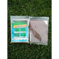 ราคา เมล็ดหญ้าเบอร์มิวด้า พาสพาลัม นวลน้อย เทียบ มาเลยเซีย เทียบ 100 กรัม 500000เมล็ด (20105683786)