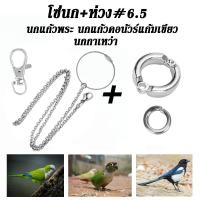 ราคา พร้อมส่ง โซ่คล้องขานก สายจูงนก โซ่นกแก้ว โซ่จูงนก โซ่สำหรับนกแก้ว ห่วงเปิดขานก ห่วงขานก ยาว 80 ซม สแตนเลส (24428171556)