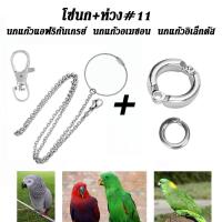 ราคา พร้อมส่ง โซ่คล้องขานก สายจูงนก โซ่นกแก้ว โซ่จูงนก โซ่สำหรับนกแก้ว ห่วงเปิดขานก ห่วงขานก ยาว 80 ซม สแตนเลส (24428171559)