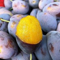 ราคา พรุนสด ราชาแห่งไฟเบอร์ 1kg สุดยอดผลไม้ที่ดีต่อสุขภาพ (21353372550)