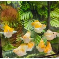 ราคา อาหารปลาบอลลูน ปลาบอลลูนสโนว์ (24736039580)