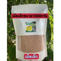 ราคา สาคูต้นแท้เม็ดเล็กขนาด1000กรัมbyบ้านนาสาคูเม็ดเล็ก (23664943274)