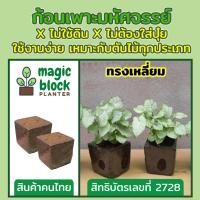 ราคา Magicblock ก้อนเพาะปลูกมหัศจรรย์ทรงเหลี่ยม ขนาด 8 8 cm ปลูกต้นไม้แนวตั้ง สวนแขวนผนัง ชุดสวดแนวตั้ง ตะแกรงพร้อมปลูก (10064591857)