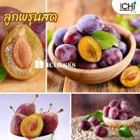 ราคา ลูกพรุนสดนำเข้า อร่อยดีต่อสุขภาพสุดๆ จำหน่ายแบ่งกิโล (20095351384)