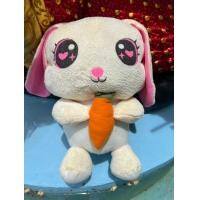 ราคา ตุ๊กตากระต่ายแครอท ตัวเล็กน่ารัก 14นิ้ว คละสี ผ้านุ่มน่ารัก ใยสังเคราะห์ (22013970481)