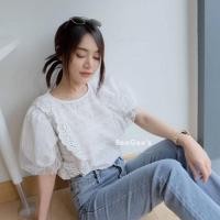 ราคา ? ? ? 2 รวม เสื้อขาว ฉลุ ลูกไม้ เสื้อสีขาว แขนยาว แขนสั้น งานผ้าฝ้าย ปักฉลุ แต่งลูกไม้น่ารักๆละมุนมากจ้า (17395409049)